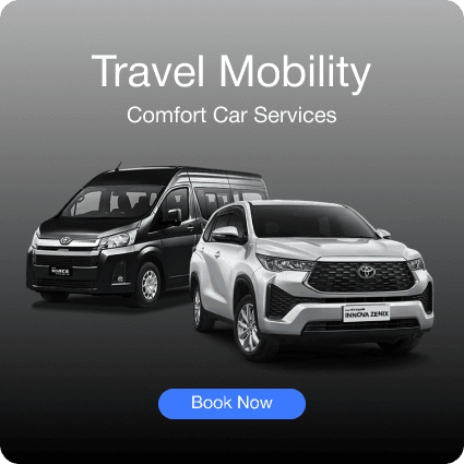 Travel Mobility